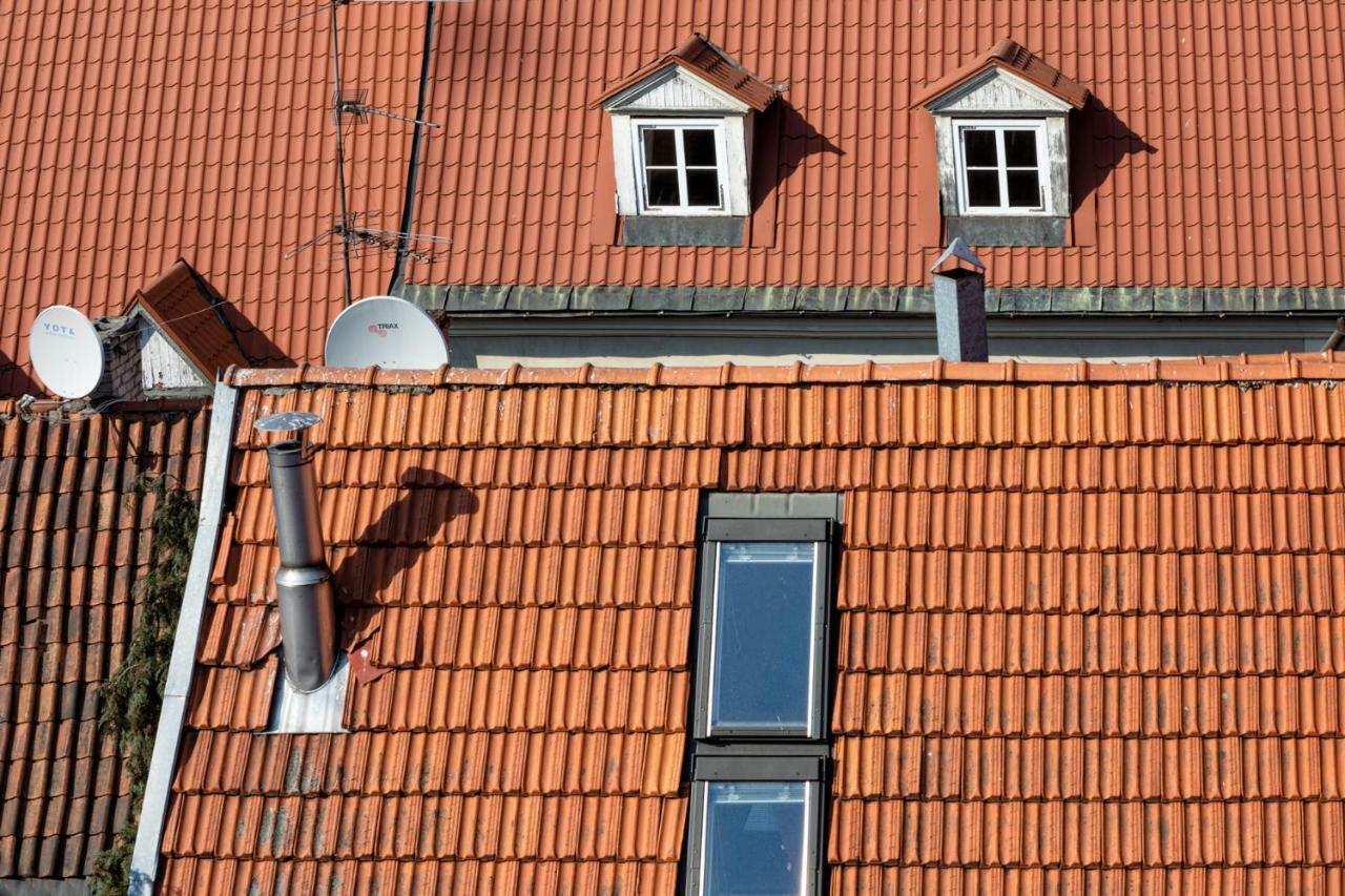 Old Riga Aldaru Street 2 Level Apartment With Terrace エクステリア 写真