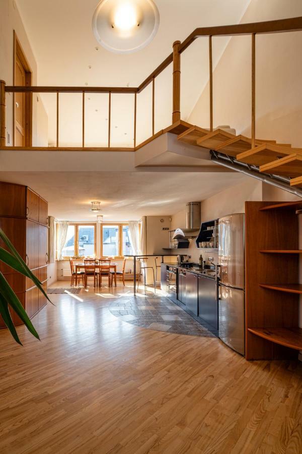 Old Riga Aldaru Street 2 Level Apartment With Terrace エクステリア 写真